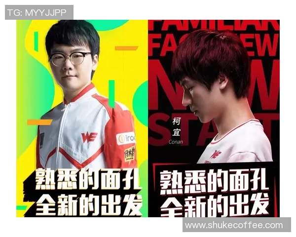 WE战队配合引发热议赛场表现是否影响战术执行与团队默契