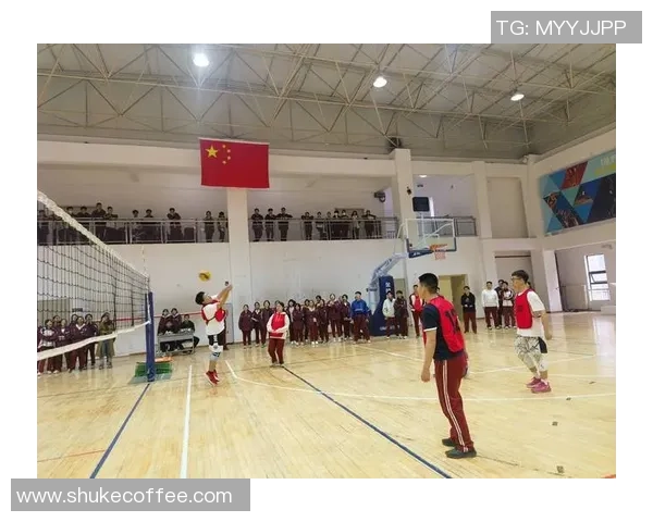 成都排球队的力量揭秘：排球巨献背后的奋斗与荣耀