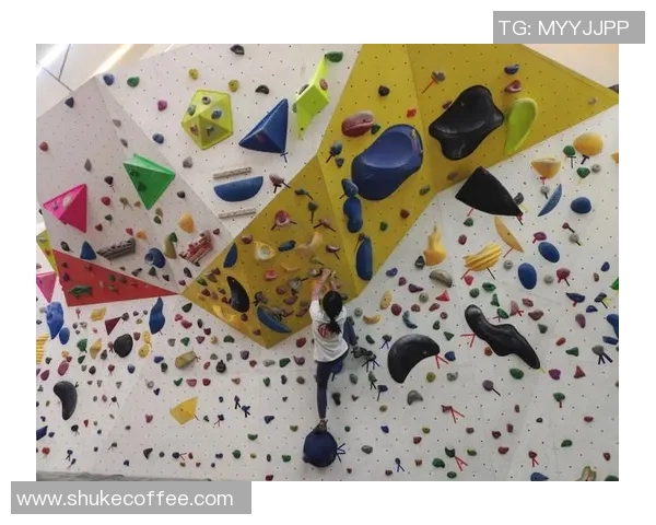 攀岩深度探索：揭秘成都攀岩队的快速攻克之道与训练秘诀