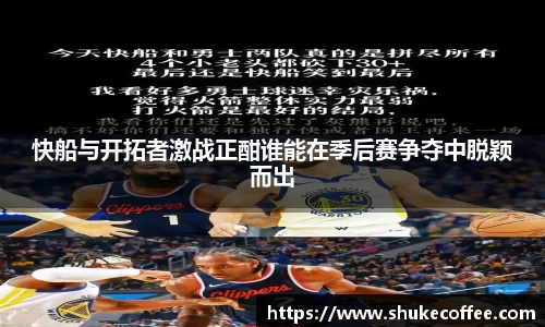 db电竞