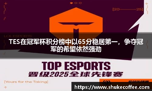 TES在冠军杯积分榜中以65分稳居第一，争夺冠军的希望依然强劲