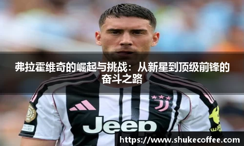 弗拉霍维奇的崛起与挑战：从新星到顶级前锋的奋斗之路